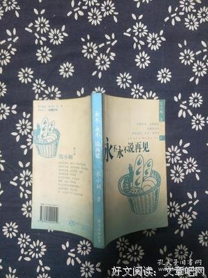 《永不永不说再见》的句子