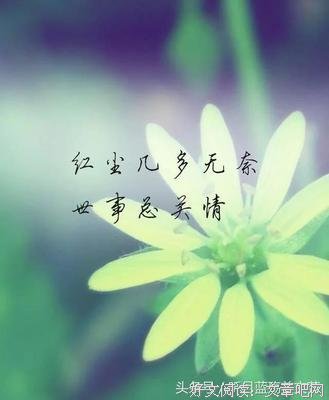 浅浅心事经典的句子