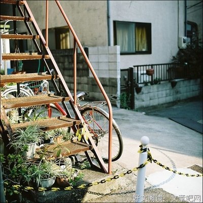 有关Leslie经典语录