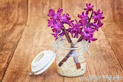 最经典的《年少的你》佳句摘抄大全