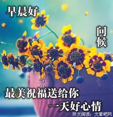 最全的《心是温柔的起点》经典句子