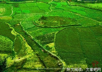 最全的《一千种风的味道》经典句子大全