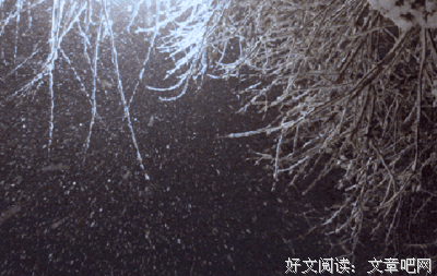 我一直相信，你会在下雪天来找我