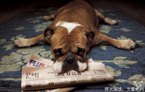 平庸之人皆败于懒惰