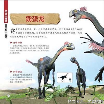 爱情、恐龙和猫读后感1000字