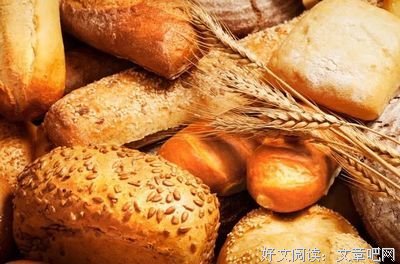 中国禅的读后感大全
