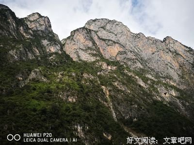 国境以南太阳以西读后感摘抄