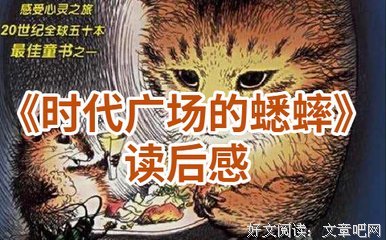 纽约，纽约以西的读后感大全