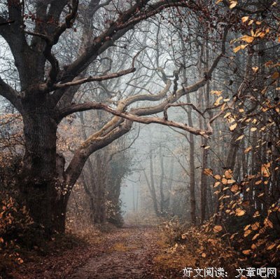 关于不期而遇名言名句
