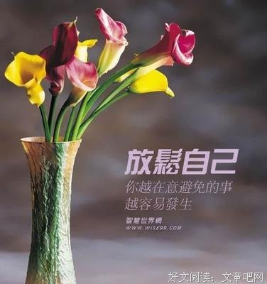 《岁除的哀伤》读后感精选