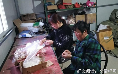 《民主与市场》的读后感大全