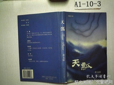 天瓢经典读后感有感