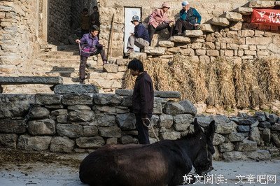 《那些五脊六兽的日子》经典影评1000字