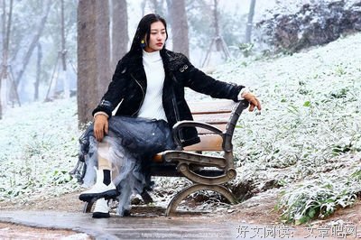 情为何物经典的句子