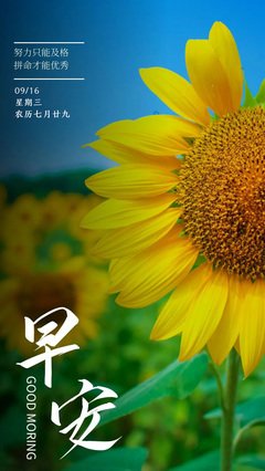 精品句子大全