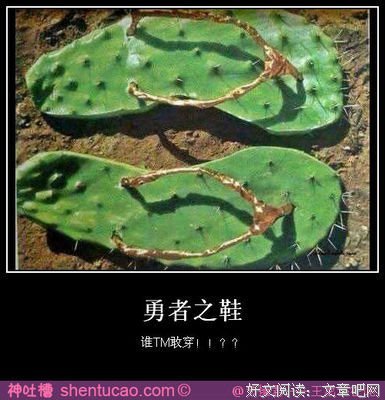 勇者之路经典名句