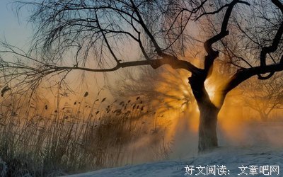 中国现代诗
