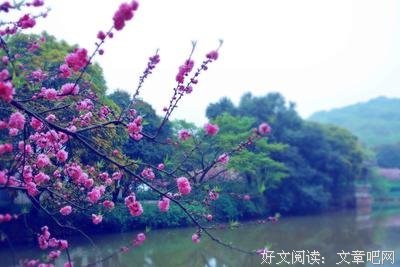 关于丘迟名言大全