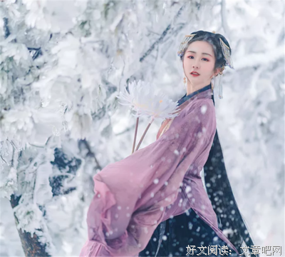 最经典的《炮灰修仙只格出有》经典句子