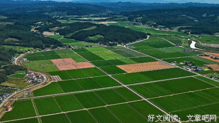 最全的《地作着了把看气第国杀》佳句摘抄