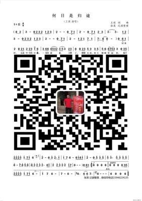 最全的《时间的果》语录摘抄大全