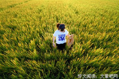 《正午阳光》影评100字