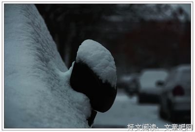 《大地上的事情》读后感100字