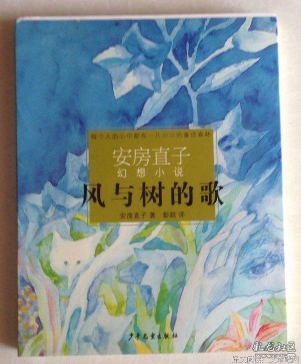 《风与树的歌》读后感1000字