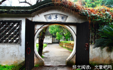 童年之死读后感100字