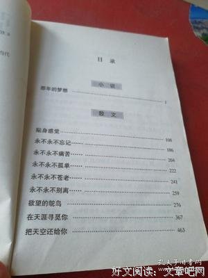 《那年的梦想》经典读后感有感