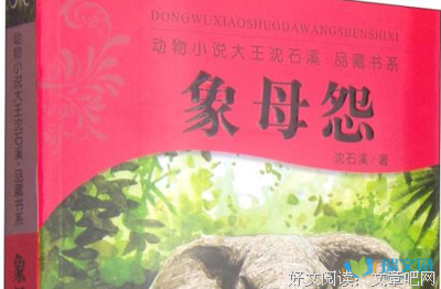 怅然年华读后感1000字