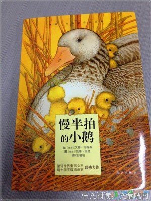 爱了散了的读后感大全