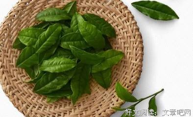 《恶魔吹着笛子来》的读后感大全