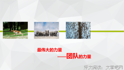 15条关于优柔寡断的经典语句