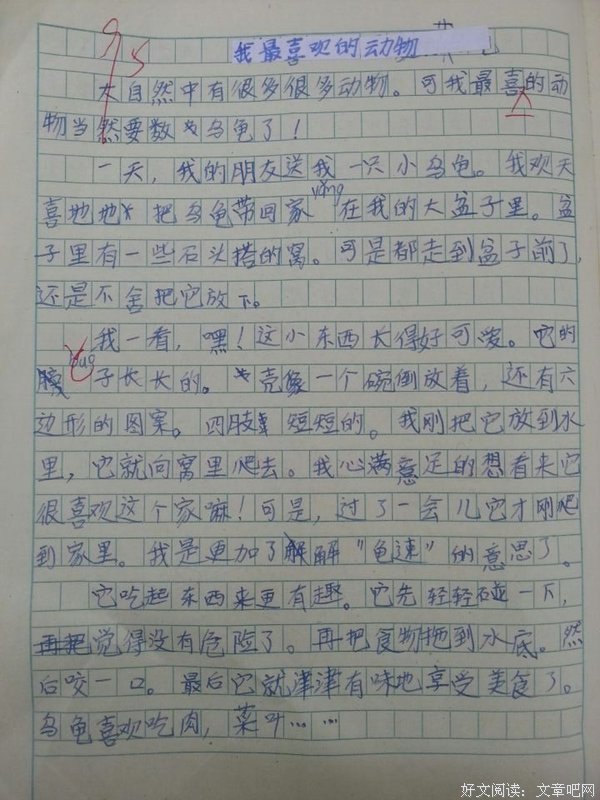 《捉迷藏》经典观后感有感