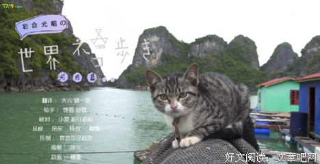 《岩合光昭的猫步走世界》经典影评有感