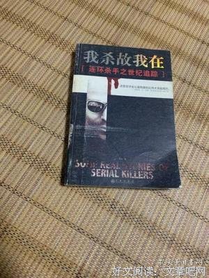 我杀故我在经典读后感有感