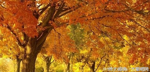 那些过往经典的句子