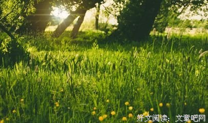 有关相看两不厌的句子