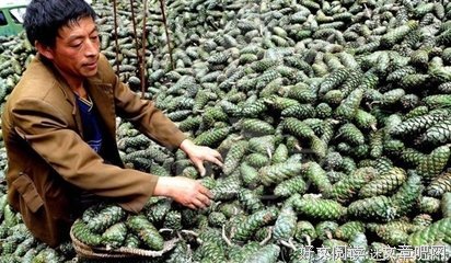 曾经⇔现在经典的句子