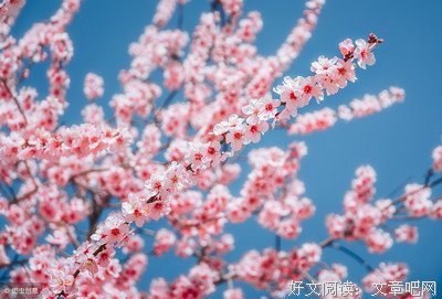 不如送我一场春雨好词好句