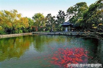 心里的柔弱的优美句子