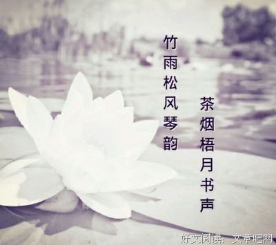 嗅墨香，听竹雨的优美句子