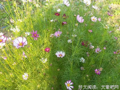 等风来经典的句子