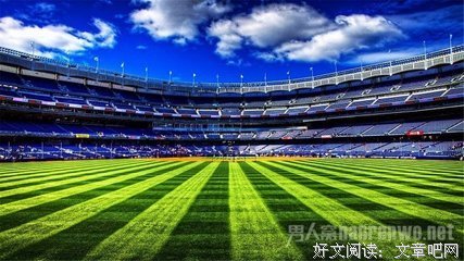 乌鸦名言大全