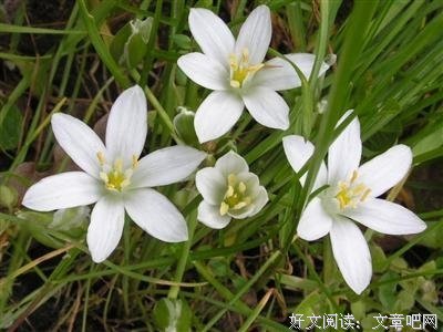 最经典的乔燃名言大全