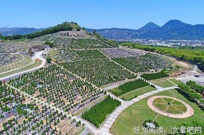最新的《冷暴地了》经典名句大全