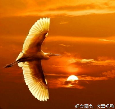 永远不要和层次不同的人争辩！（深度好文）