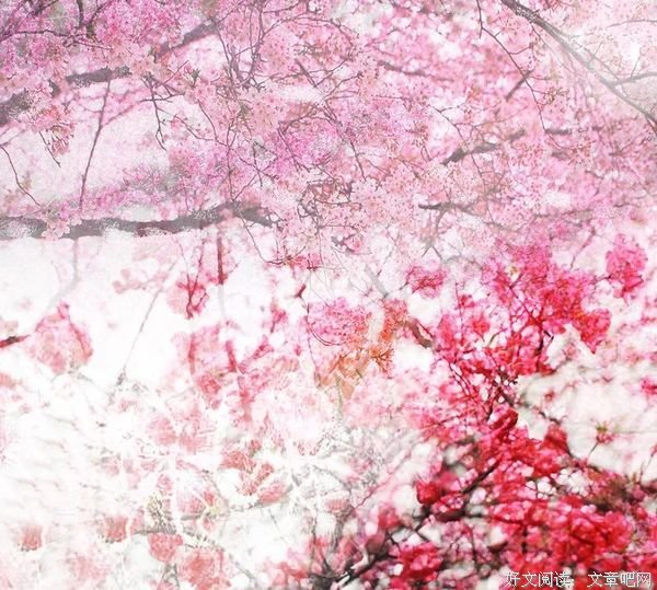 又是一年岁暮时，可有梅花寄一枝？